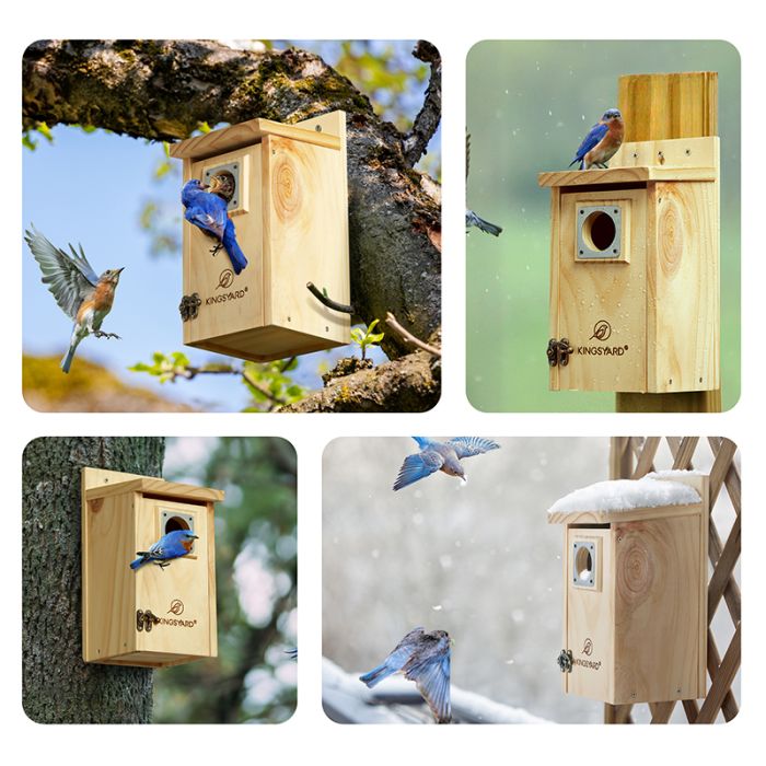 Kingsyard Classic Wooden Bluebird House with 1.5'' Hole 5 Kingsyard Classic Wooden Bluebird House with 1.5'' Hole 5