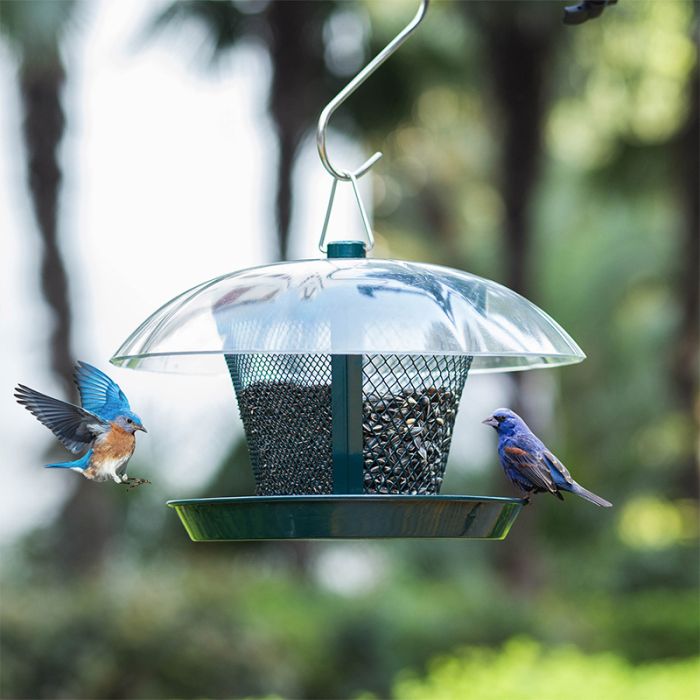 Kingsyard Dual-Use Metal Mesh Wild Bird Feeder with Weatherproof Dome 5 Kingsyard Dual-Use Metal Mesh Wild Bird Feeder with Weatherproof Dome 5
