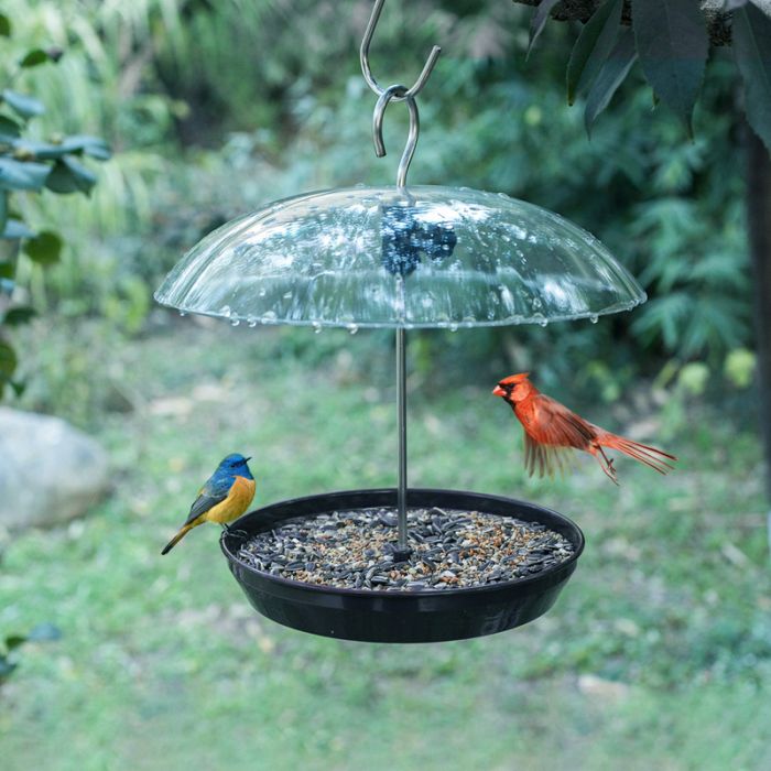 Black Kingsyard Adjustable Platform Bird Feeder with Squirrel Proof Design 1 Black Kingsyard Adjustable Platform Bird Feeder with Squirrel Proof Design 1