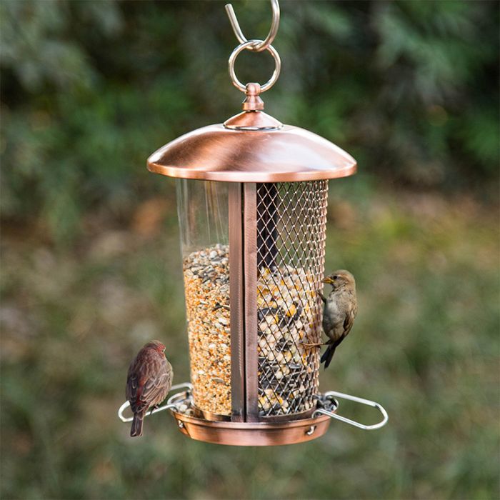 Kingsyard 2 in 1 Hopper Bird Feeder 1 Kingsyard 2 in 1 Hopper Bird Feeder 1
