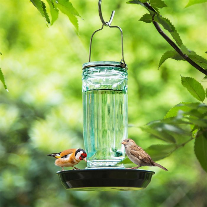 Kingsyard Glass Bird Waterer for Outdoor Use 5 Kingsyard Glass Bird Waterer for Outdoor Use 5