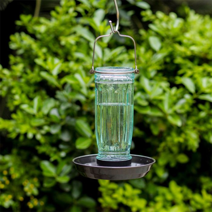 Kingsyard Glass Bird Waterer for Outdoor Use 7 Kingsyard Glass Bird Waterer for Outdoor Use 7