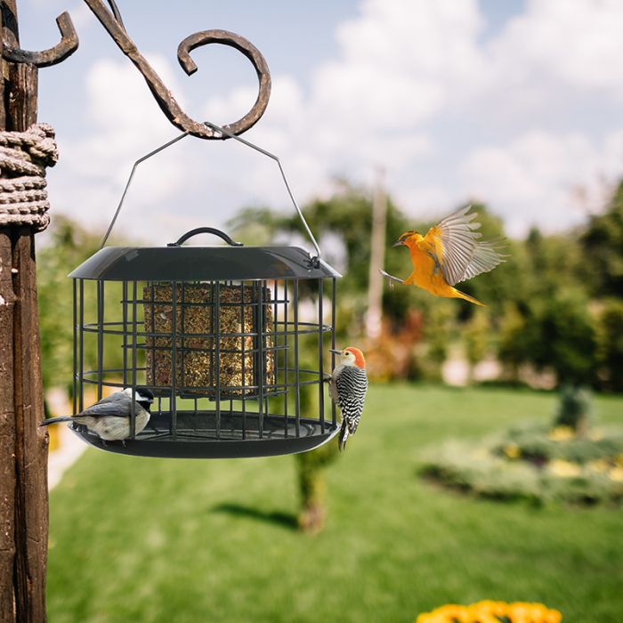 Black Kingsyard Metal Caged Squirrel Proof Suet Feeder 7 Black Kingsyard Metal Caged Squirrel Proof Suet Feeder 7