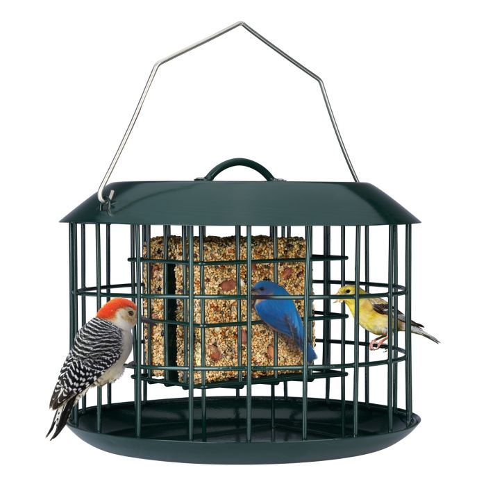 Green Kingsyard Metal Caged Squirrel Proof Suet Feeder 2