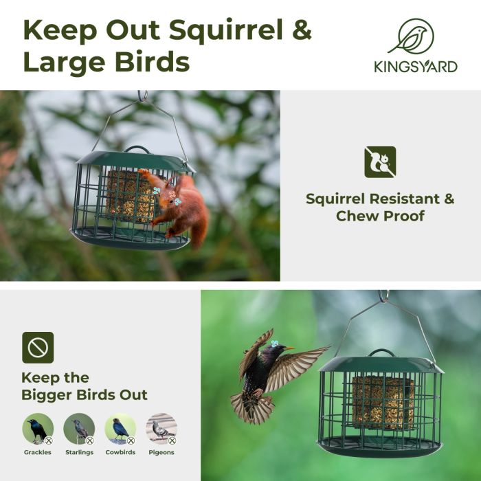 Green Kingsyard Metal Caged Squirrel Proof Suet Feeder 6