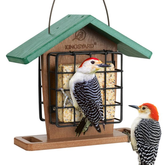 Kingsyard Recycled Plastic Suet Bird Feeders 2 Kingsyard Recycled Plastic Suet Bird Feeders 2