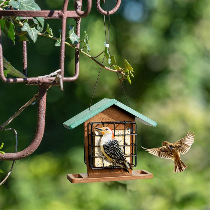 Kingsyard Recycled Plastic Suet Bird Feeders 6 Kingsyard Recycled Plastic Suet Bird Feeders 6