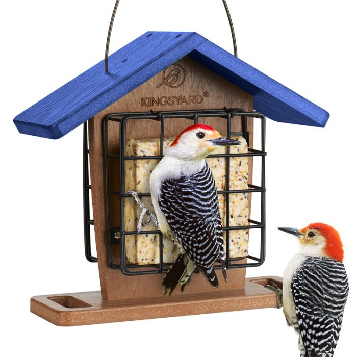 Blue Kingsyard Recycled Plastic Suet Bird Feeders 2 Blue Kingsyard Recycled Plastic Suet Bird Feeders 2