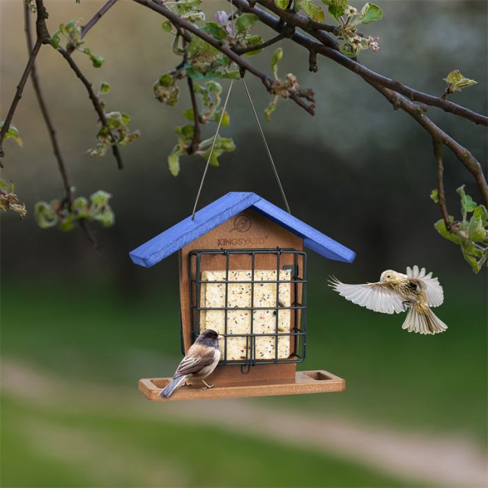 Blue Kingsyard Recycled Plastic Suet Bird Feeders 5 Blue Kingsyard Recycled Plastic Suet Bird Feeders 5