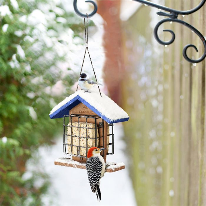 Blue Kingsyard Recycled Plastic Suet Bird Feeders 6 Blue Kingsyard Recycled Plastic Suet Bird Feeders 6