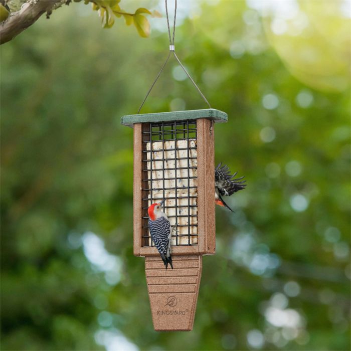 Green Kingsyard Extended Tail Prop Suet Feeder for Woodpeckers 1 Green Kingsyard Extended Tail Prop Suet Feeder for Woodpeckers 1