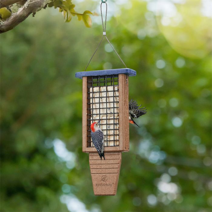 Blue Kingsyard Extended Tail Prop Suet Feeder for Woodpeckers 8