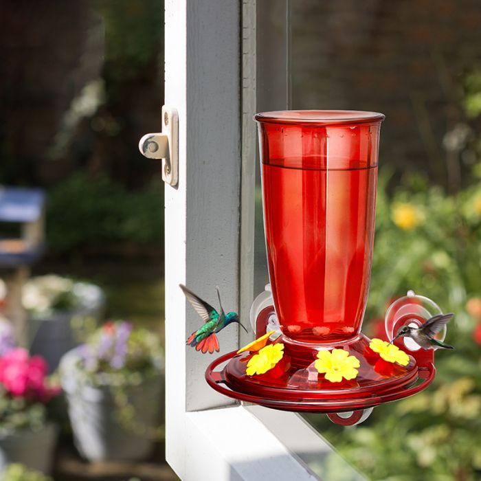 Red Kingsyard 16oz Leak Proof Window Hummingbird Feeder 1