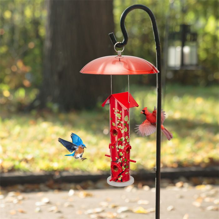 Kingsyard Squirrel & Weather Guard Dome for Hanging Bird Feeders 5 Kingsyard Squirrel & Weather Guard Dome for Hanging Bird Feeders 5
