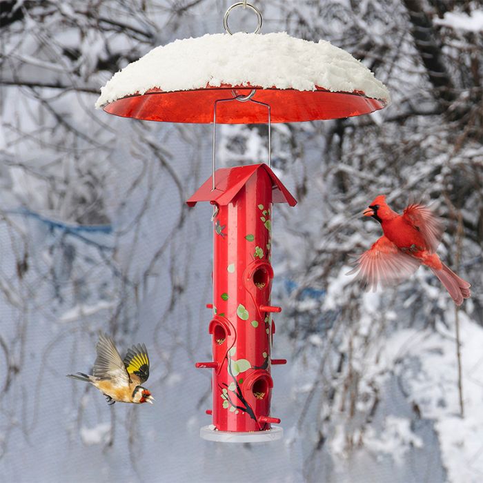 Red Kingsyard Squirrel & Weather Guard Dome for Hanging Bird Feeders 1 Red Kingsyard Squirrel & Weather Guard Dome for Hanging Bird Feeders 1
