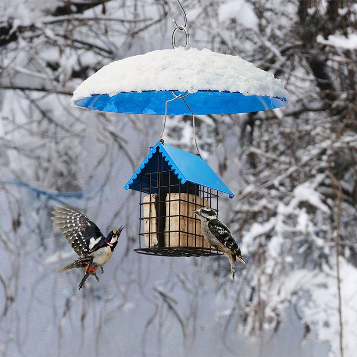 Blue Kingsyard Squirrel & Weather Guard Dome for Hanging Bird Feeders 1 Blue Kingsyard Squirrel & Weather Guard Dome for Hanging Bird Feeders 1