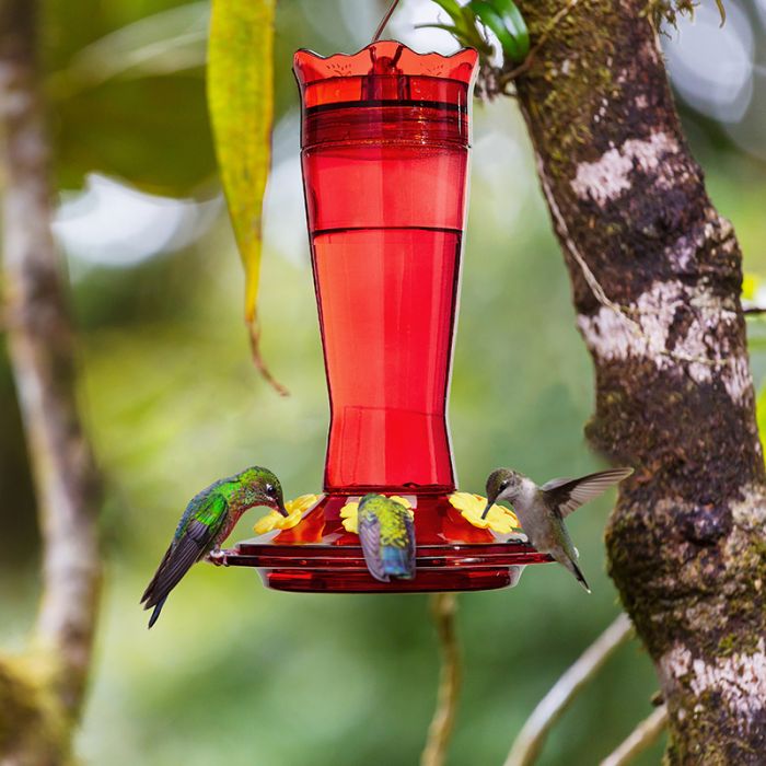 Kingsyard 14oz Glass Hummingbird Feeder with Bee Proof & Ant Moat 3 Kingsyard 14oz Glass Hummingbird Feeder with Bee Proof & Ant Moat 3