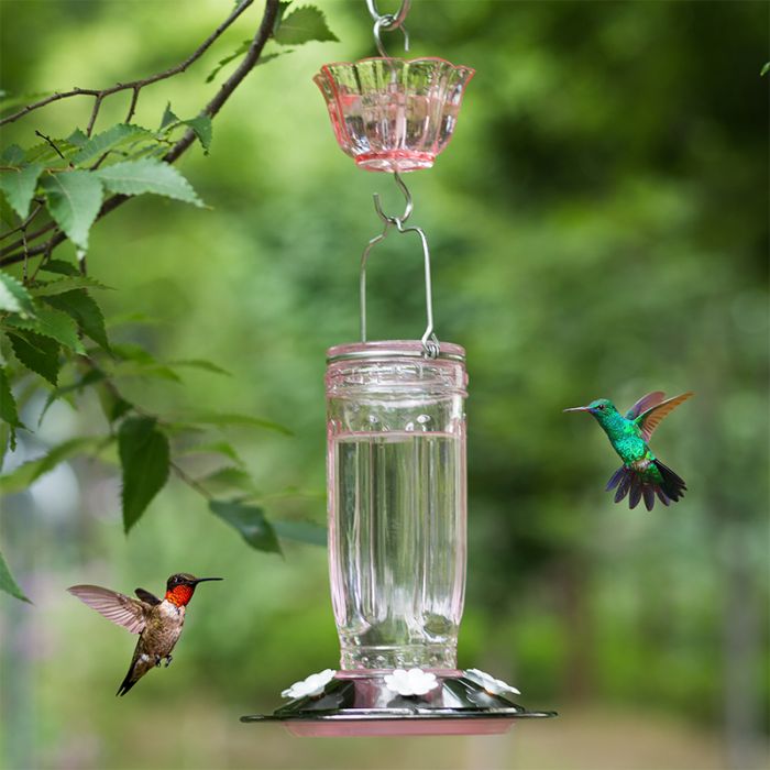 Pink Kingsyard 2-Pack Ant Moat for Hummingbird Feeders 1