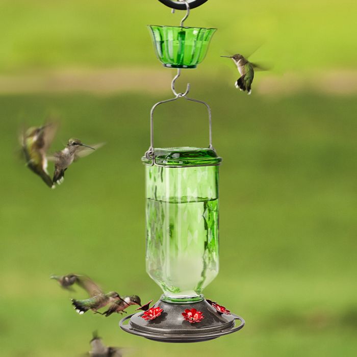 Green Kingsyard 2-Pack Ant Moat for Hummingbird Feeders 1 Green Kingsyard 2-Pack Ant Moat for Hummingbird Feeders 1