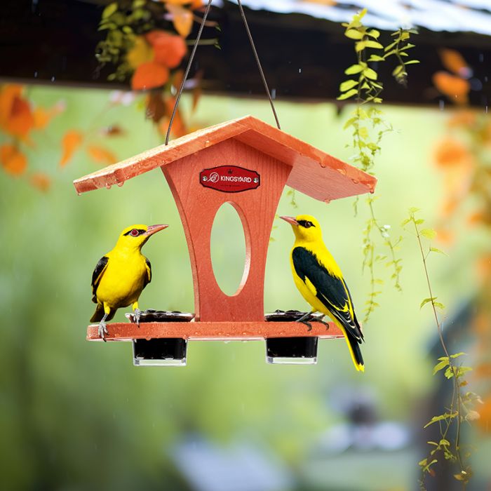 Kingsyard Recycled Plastic Bird Feeder 1
