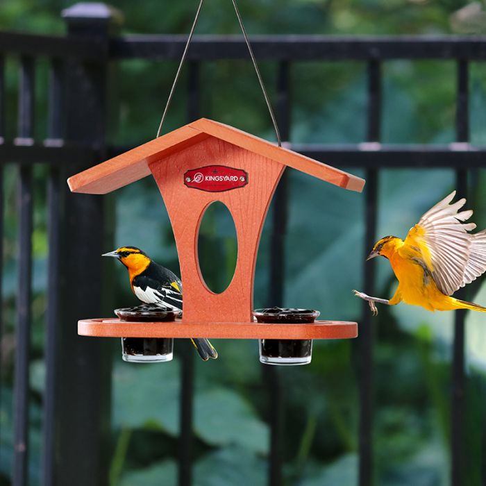 Kingsyard Recycled Plastic Bird Feeder 4