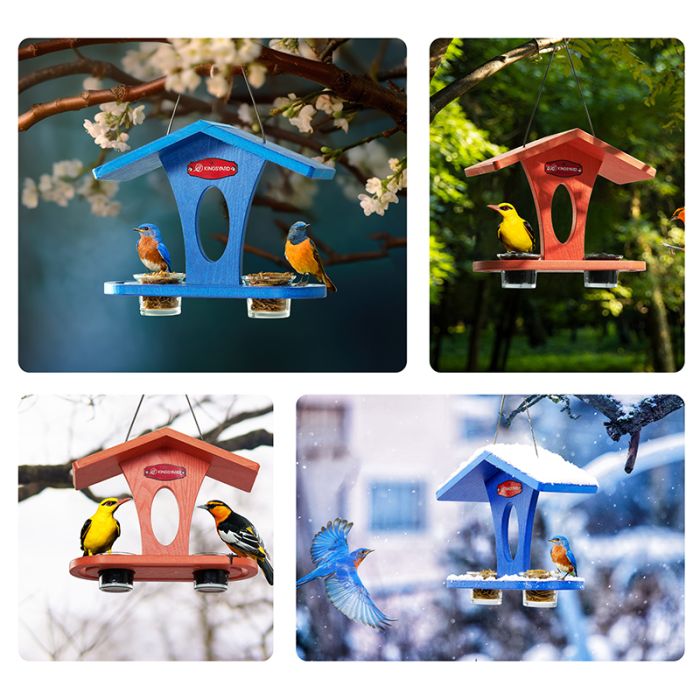 Orange for Oriole Kingsyard Recycled Plastic Bird Feeder 5 Orange for Oriole Kingsyard Recycled Plastic Bird Feeder 5