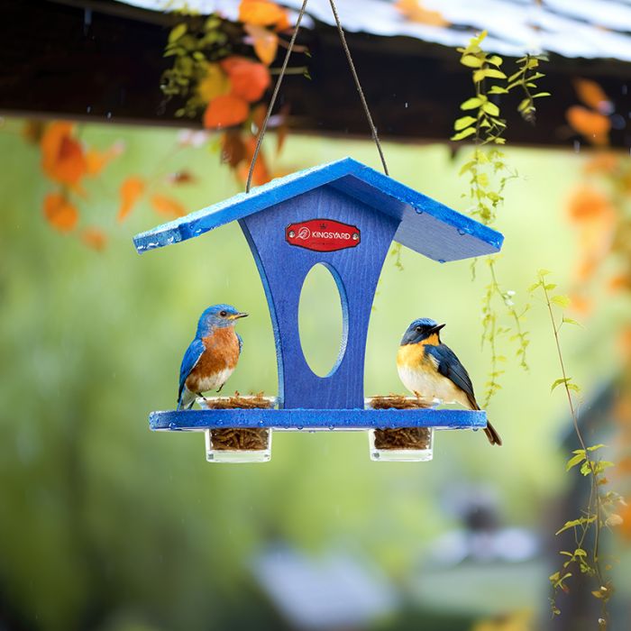 Blue for Bludbird Kingsyard Recycled Plastic Bird Feeder 1 Blue for Bludbird Kingsyard Recycled Plastic Bird Feeder 1