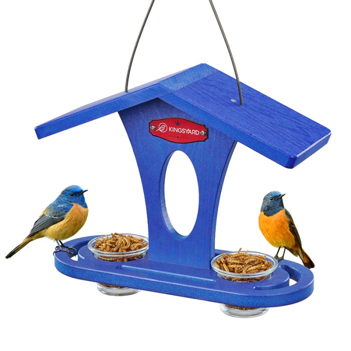 Blue for Bludbird Kingsyard Recycled Plastic Bird Feeder 2 Blue for Bludbird Kingsyard Recycled Plastic Bird Feeder 2
