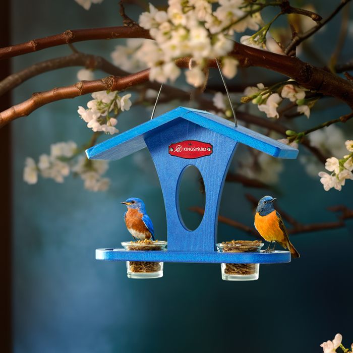 Blue for Bludbird Kingsyard Recycled Plastic Bird Feeder 3 Blue for Bludbird Kingsyard Recycled Plastic Bird Feeder 3
