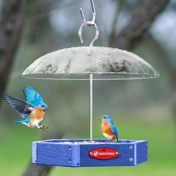 Blue Kingsyard Recycled Plastic Platform Bird Feeder with Adjustable Dome 1 Blue Kingsyard Recycled Plastic Platform Bird Feeder with Adjustable Dome 1