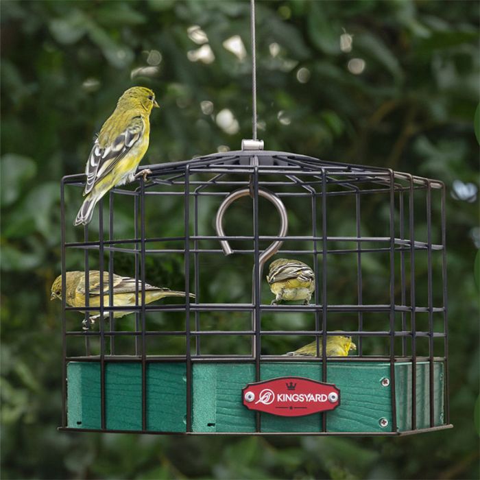 Green Kingsyard Squirrel-Proof Platform Hanging Bird Feeder 7