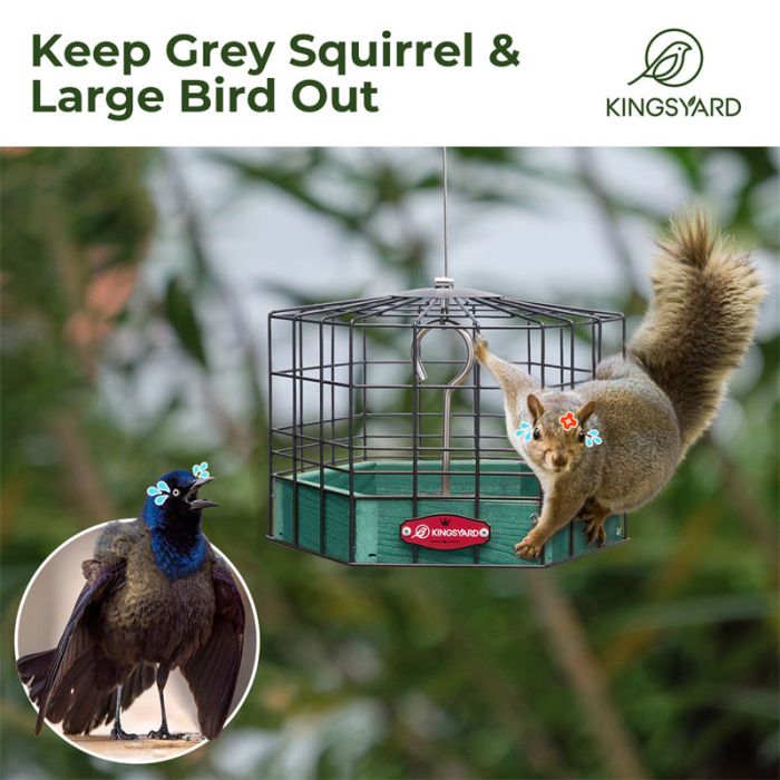 Green Kingsyard Squirrel-Proof Platform Hanging Bird Feeder 6