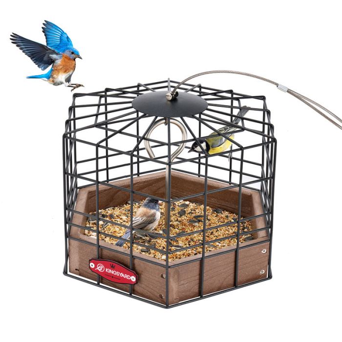 Brown Kingsyard Squirrel-Proof Platform Hanging Bird Feeder 2