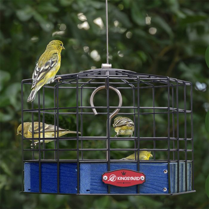 Blue Kingsyard Squirrel-Proof Platform Hanging Bird Feeder 7 Blue Kingsyard Squirrel-Proof Platform Hanging Bird Feeder 7