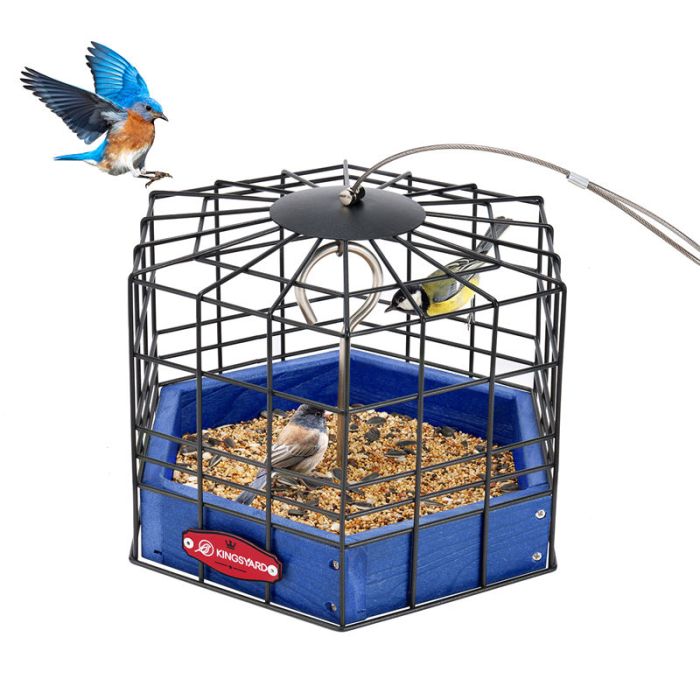 Blue Kingsyard Squirrel-Proof Platform Hanging Bird Feeder 2 Blue Kingsyard Squirrel-Proof Platform Hanging Bird Feeder 2
