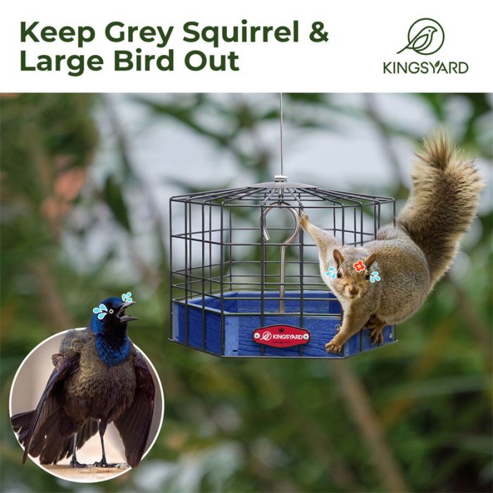 Blue Kingsyard Squirrel-Proof Platform Hanging Bird Feeder 6 Blue Kingsyard Squirrel-Proof Platform Hanging Bird Feeder 6