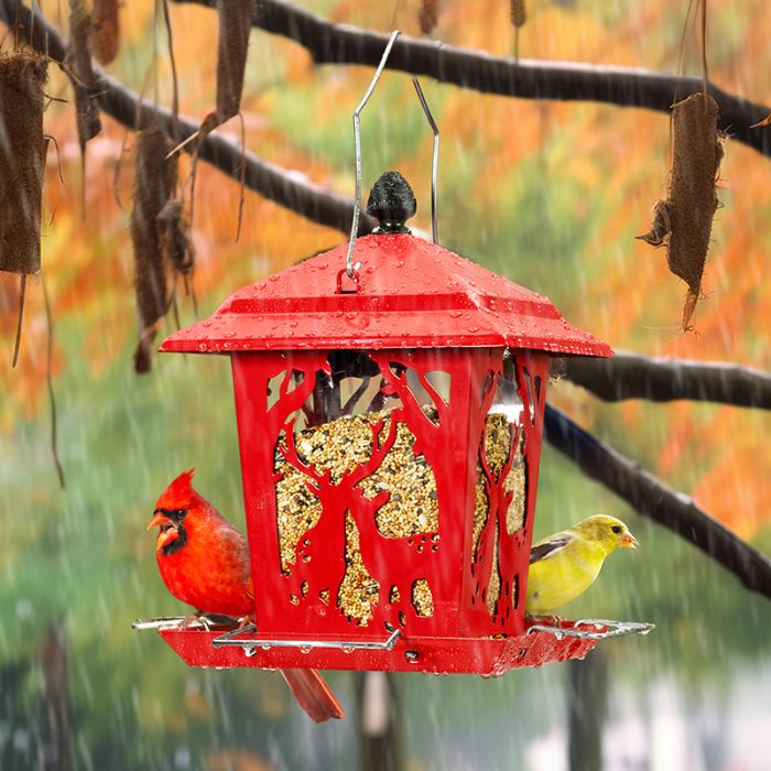Red Kingsyard Weatherproof Metal Hopper Bird Feeder 1 Red Kingsyard Weatherproof Metal Hopper Bird Feeder 1
