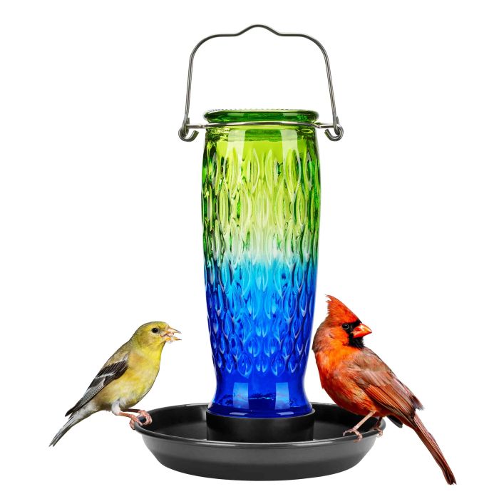 Green & Blue Kingsyard 24oz Large Capacity Glass Bird Water Feeder 2 Green & Blue Kingsyard 24oz Large Capacity Glass Bird Water Feeder 2