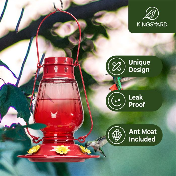 Kingsyard Lamp-shaped Glass Hummingbird Feeder 6 Kingsyard Lamp-shaped Glass Hummingbird Feeder 6
