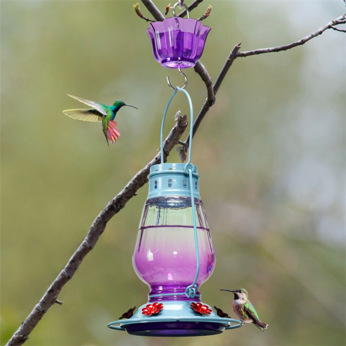 Purple Gradient Kingsyard Lamp-shaped Glass Hummingbird Feeder 1