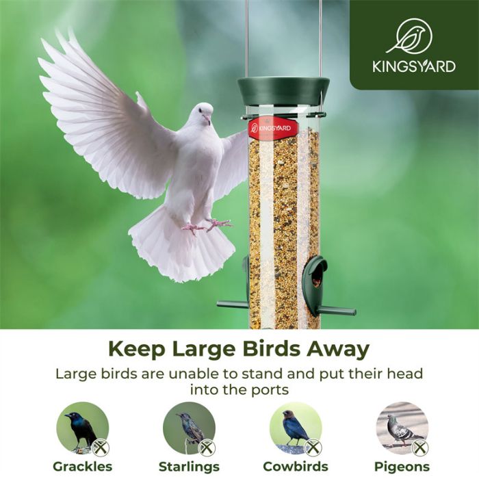 Dark Green Kingsyard Extra Thick Tube Bird Feeder 5