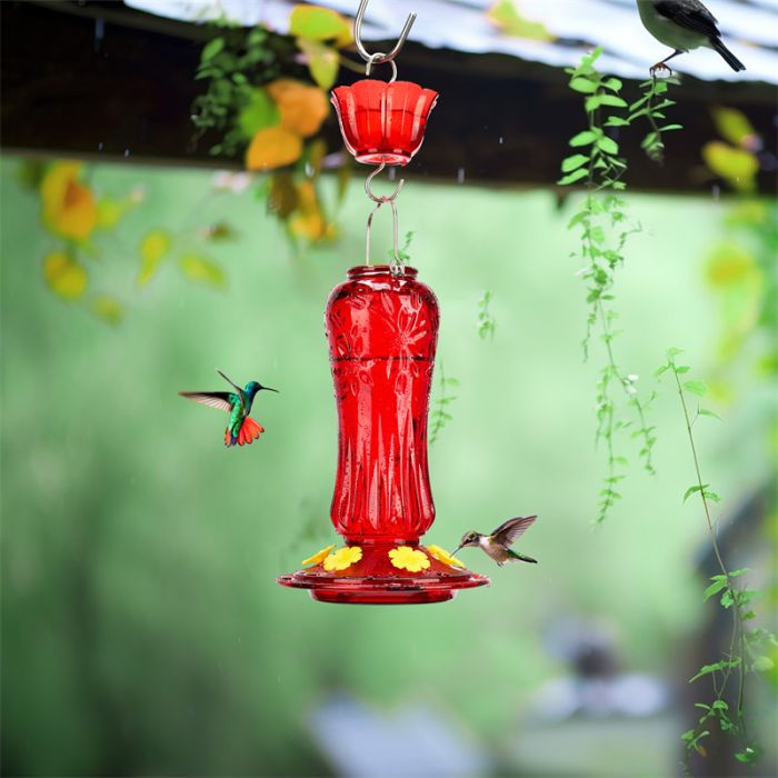 Red Kingsyard 24oz Glass Hummingbird Feeder with Ant Moat 1