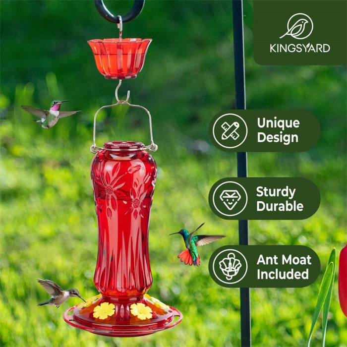 Red Kingsyard 24oz Glass Hummingbird Feeder with Ant Moat 6