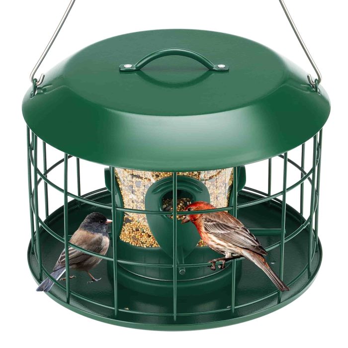 Kingsyard Squirrel Proof Caged Tube Bird Feeder 2 Kingsyard Squirrel Proof Caged Tube Bird Feeder 2