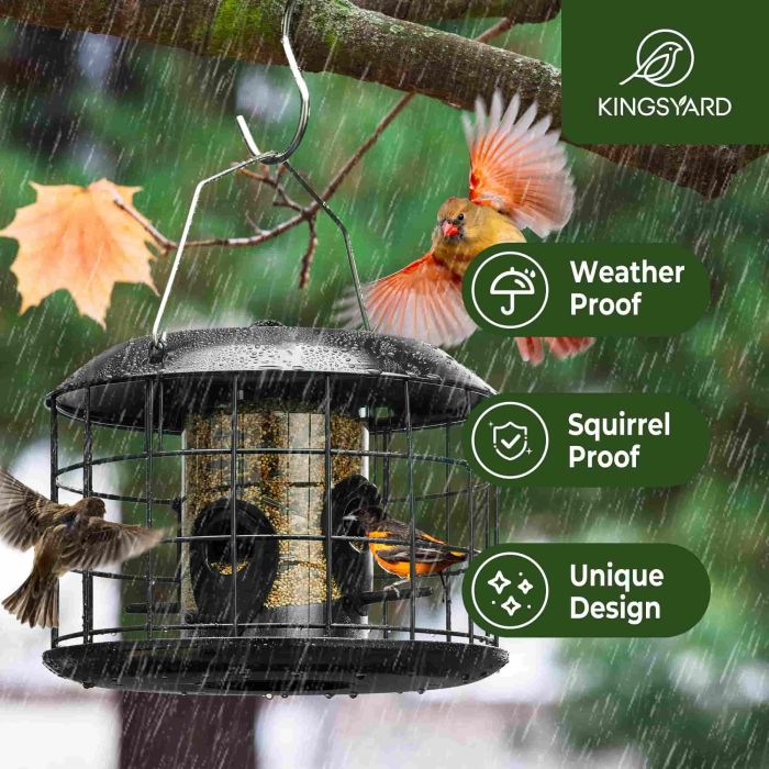 Black Kingsyard Squirrel Proof Caged Tube Bird Feeder 5 Black Kingsyard Squirrel Proof Caged Tube Bird Feeder 5