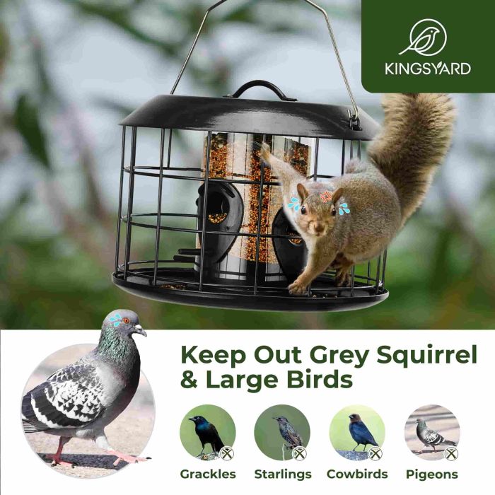 Black Kingsyard Squirrel Proof Caged Tube Bird Feeder 6 Black Kingsyard Squirrel Proof Caged Tube Bird Feeder 6