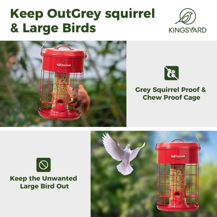 Red Kingsyard Caged Squirrel Proof Tube Feeder with Weatherproof Design 5