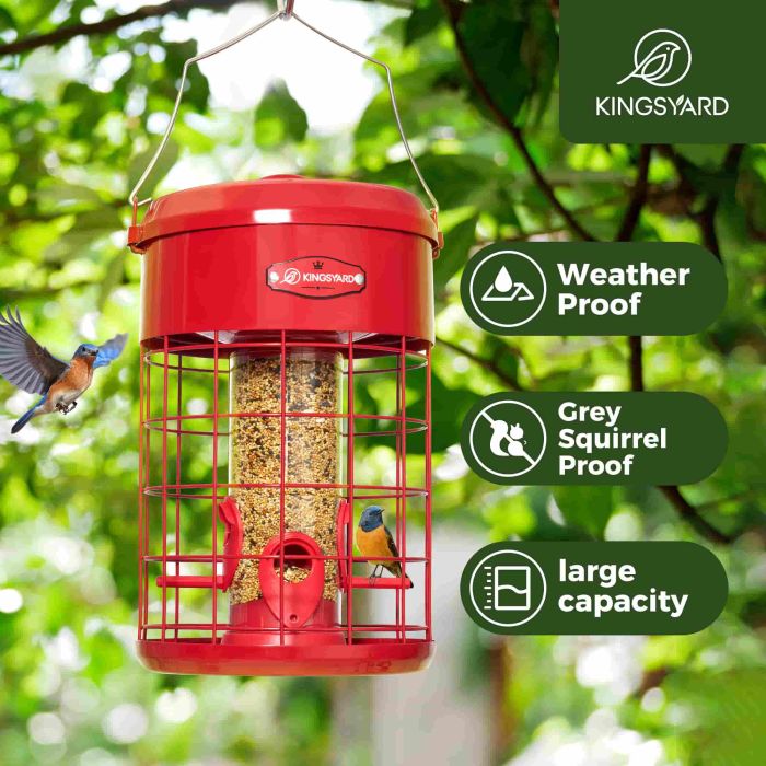 Red Kingsyard Caged Squirrel Proof Tube Feeder with Weatherproof Design 6