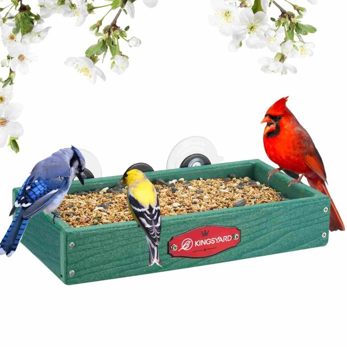 Kingsyard Window Bird Feeder with Triangular Bracket 2