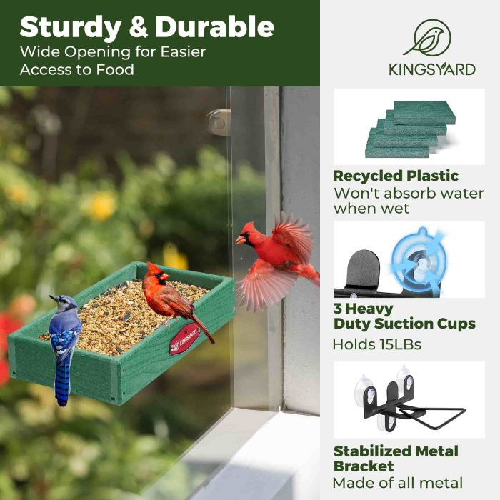 Kingsyard Window Bird Feeder with Triangular Bracket 4